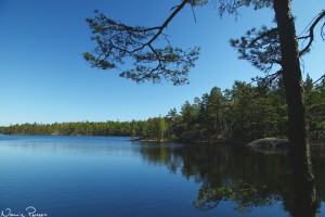 Årsjön. Den här bilden tycker jag representerar Sveriges natur ganska bra.