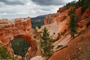 Natural Bridge.