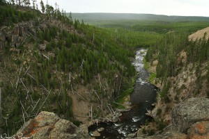 Gibbon River.