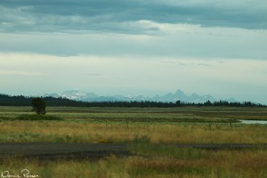 Hejdå Teton!