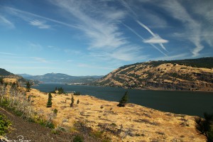 Oregon till vänster (söder) och Washington till höger (norr) om Columbiafloden.