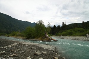 Hoh River. Snygg färg på vattnet.