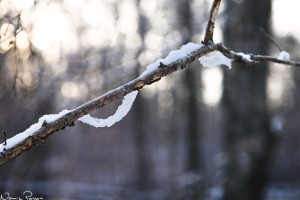 Snö på glid.