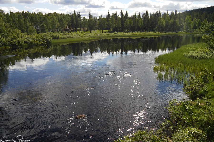 Vassaaraälven.