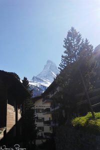 Matterhorn sett från Zermatt.